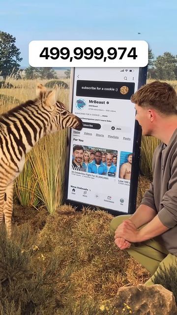 Подпишется ли на меня Зебра