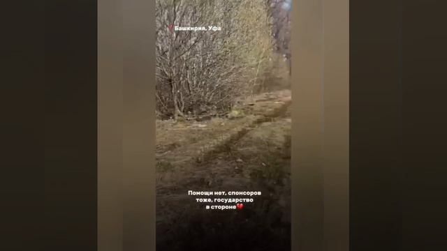 Помогите построить новый приют для собак!
📍Башкирия, Уфа.
Мы находимся в критической ситуации.