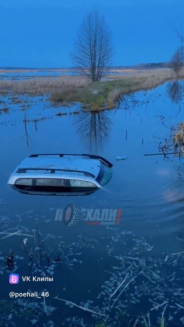 китайское рэле