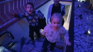 VLOG: НАСТОЯЩАЯ РЕАКЦИЯ! 16.12.25