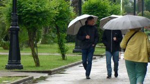 В Сочи идут сильные дожди