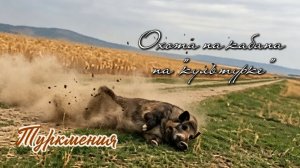 Туркмения. Охота на кабана.