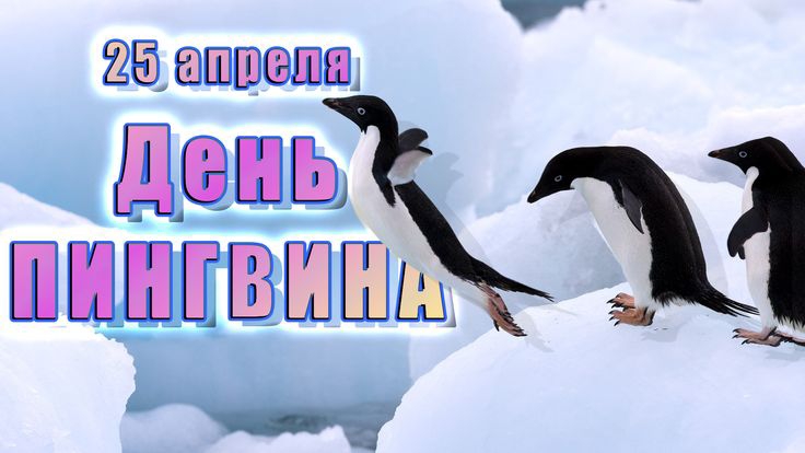 ЗООПАРК им. Р. А. ШИЛО. ПИНГВИНЫ . НОВОСИБИРСК