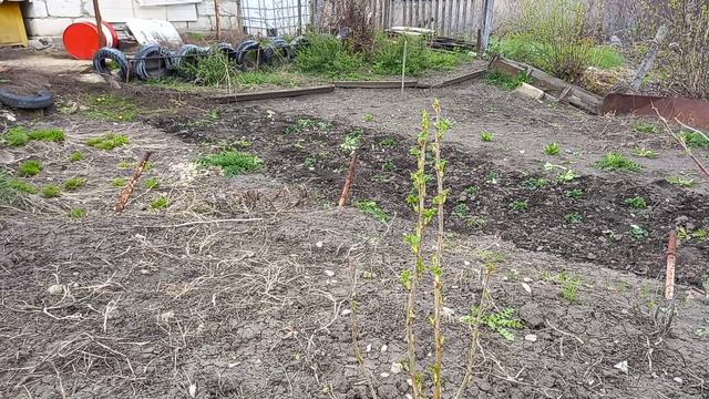 Дела дачные