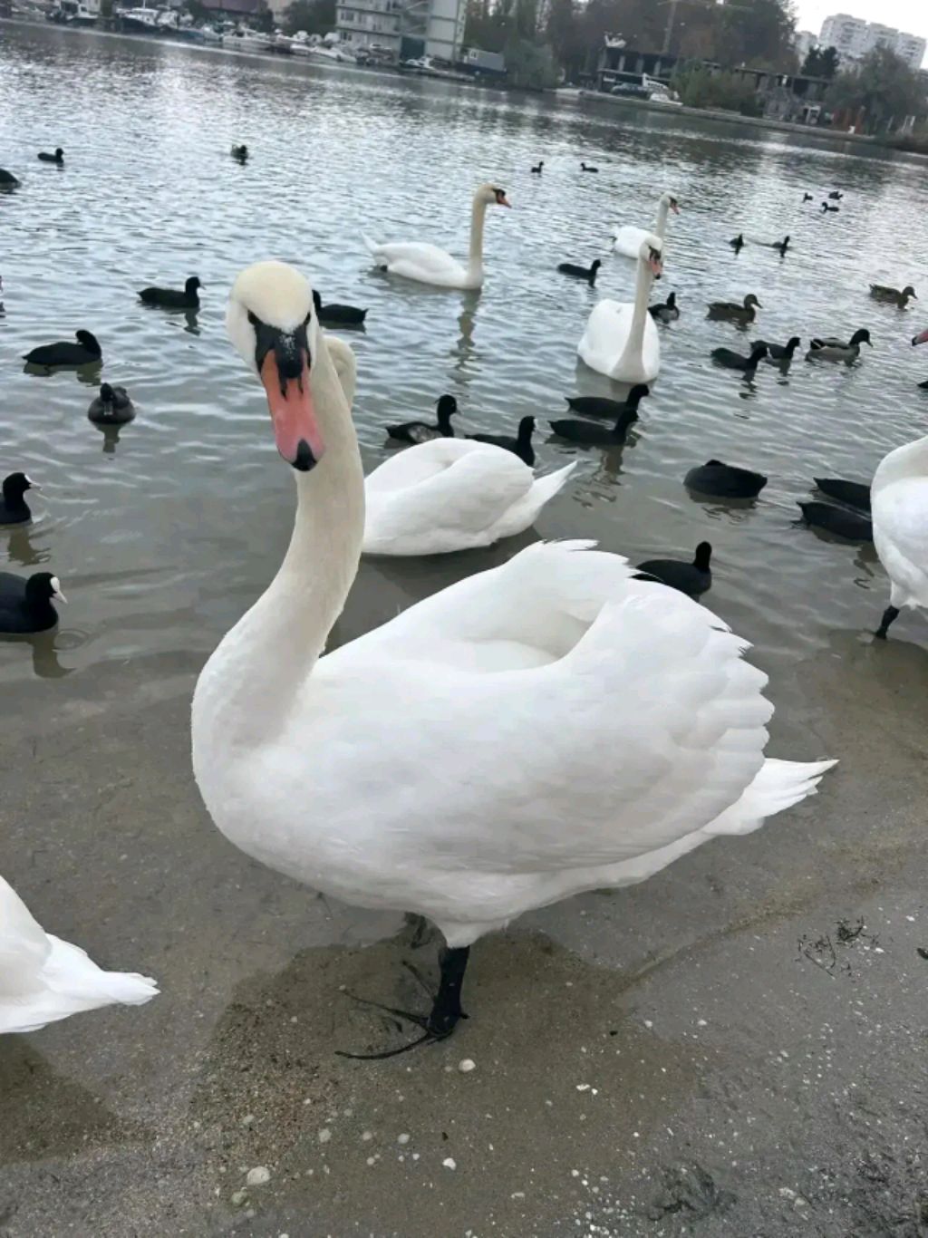 ПОДПИШИСЬ ПЛИЗ