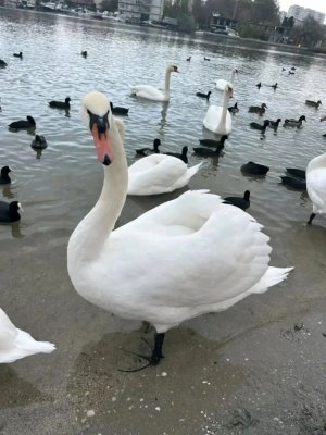 ПОДПИШИСЬ ПЛИЗ