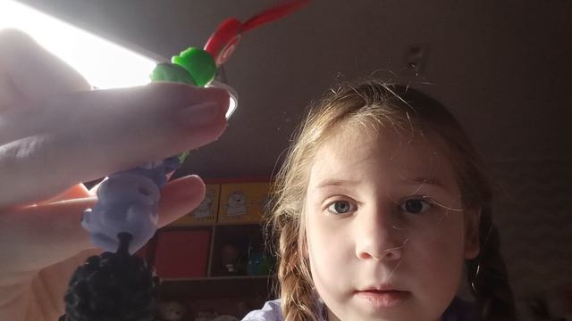 показываем паспорт Китти