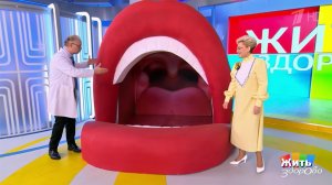 Миндалины: не спешите удалять. Жить здорово! Фрагмент выпуска от 24.04.2026