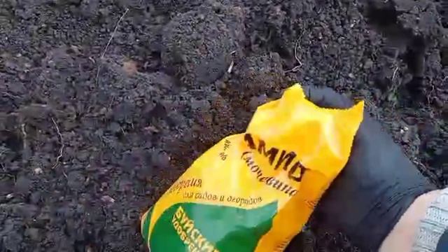 это нужно сделать сейчас!первая подкормка плодовых деревьев и кустарников