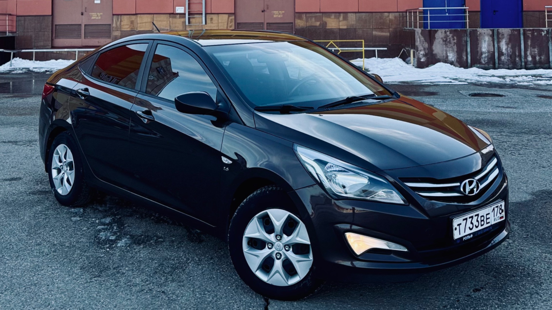 Solaris Brown общий вид