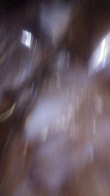 Разведение кррликов как не заработать параною? Часть 1