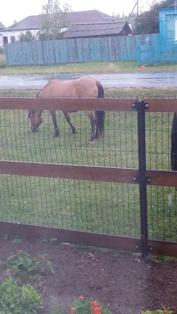 К нам гости пожаловали!❤️