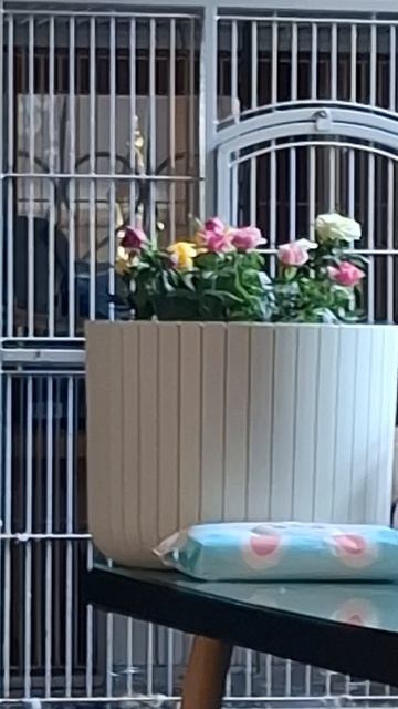 КУ   ...   КУ  ...