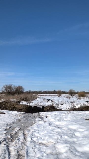 Поле весной