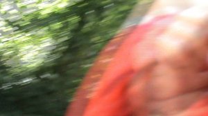 161)и МАМЕДОВОЕ УЩЕЛЬЕ