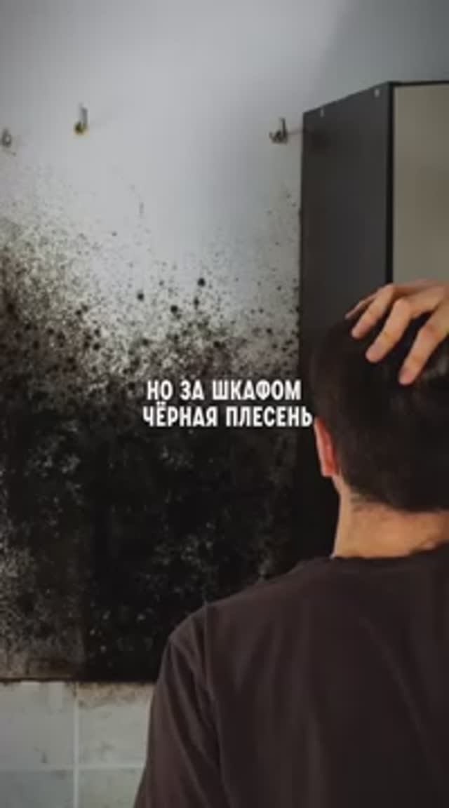 Грибок в квартире