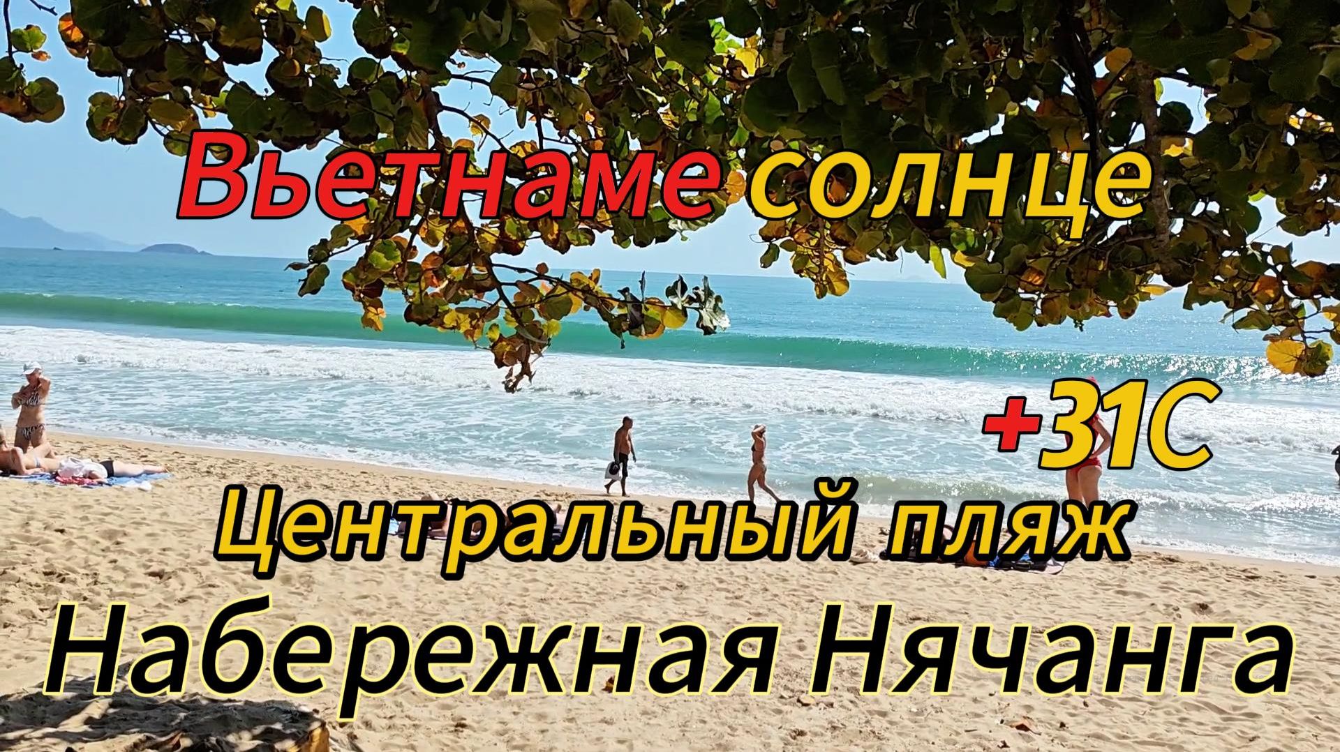 В Нячанге солнце и жара 31 Вьетнам 2026. Центральный пляж города лучший!
