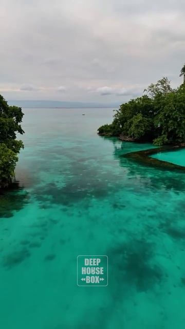 Лучшая DEEP HOUSE музыка в MAX 