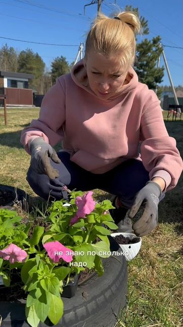 Петунии всего за 169₽ 😱
