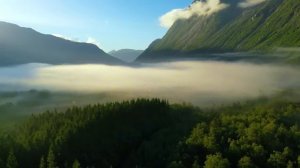 Я умерла и оказалась ДОМА Возвращение на Землю стало моим главным проклятием КЛИНИЧЕСКАЯ СМЕРТЬ