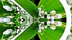 С Днём Рождения 5! Ландышевая Сказка от Киностудии Мудрого Кота Тимофея!!!