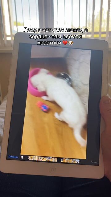 Мы снова в больнице(((