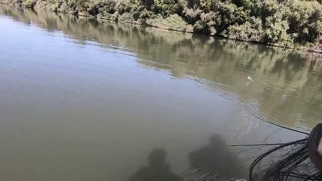 РЕЙД ПО БРАКОНЬЕРСКИМ СЕТЯМ ЧАСТЬ 24.2