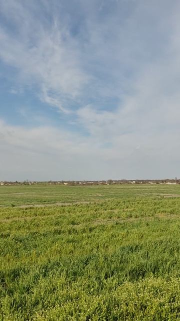 Участки ЛПХ 14 Га