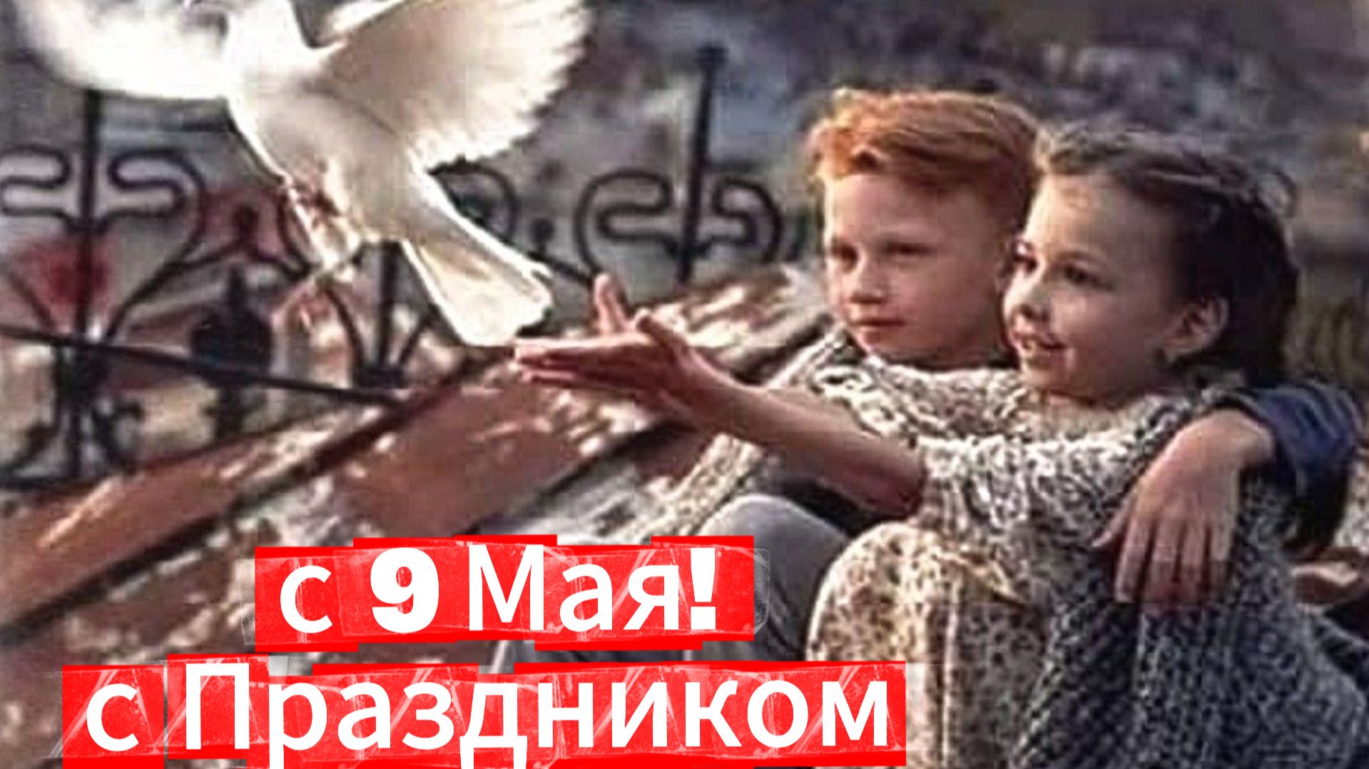 9 Мая: музыкальное поздравление и открытка с Днем Победы  Домохозяйка