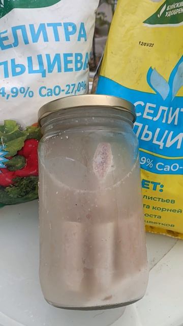 Удобрительные косточки Ивана Русских