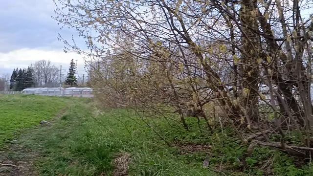 ЭВС2 Санкт Петербург Москва