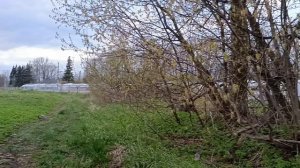 ЭВС2 Санкт Петербург Москва