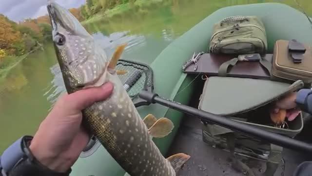 СЕКРЕТНАЯ ПРОВОДКА, ПРО КОТОРУЮ ВСЕ ЗНАЮТ, НО МАЛО КТО ИСПОЛЬЗУЕТ! ЩУКА ДУРЕЕТ.