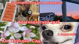 Купили дом. Юг. Сад в апреле. Холодно +2. Ветра достали. Готовимся.