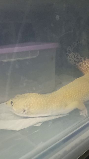 Парень по имени Безобразие выпал на измену. 23 апреля 2026 г.