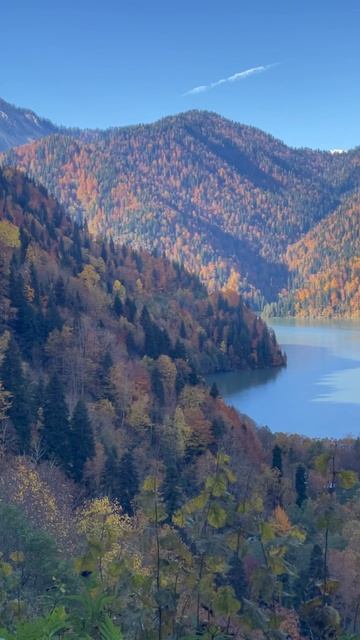 Осенняя Рица🍁