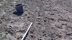 ПРИСТУПАЮ К ПОСАДКЕ КАРТОШКИ