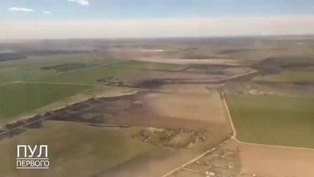 🥰 Шпица по кличке Умка заметили на борту вертолета Лукашенко. 

Пушистый «помогает» президенту