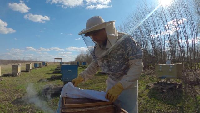 ПАСЕКА 2026 РАСШИРЕНИЕ СЕМЕЙ.mp4