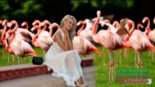 СТАС МИХАЙЛОВ. С ДОБРЫМ УТРОМ!