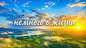 НЕМНОГО О ЖИЗНИ...