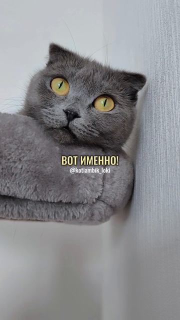 Неловкая ситуация😅