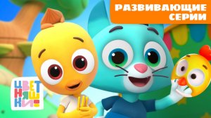 Развивающие серии от Цыпленка Пи и Котенка Мур | Большой сборник для малышей 🐥🐱🧸 | Цветняшки