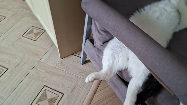 😀🤗🤭😇❤️