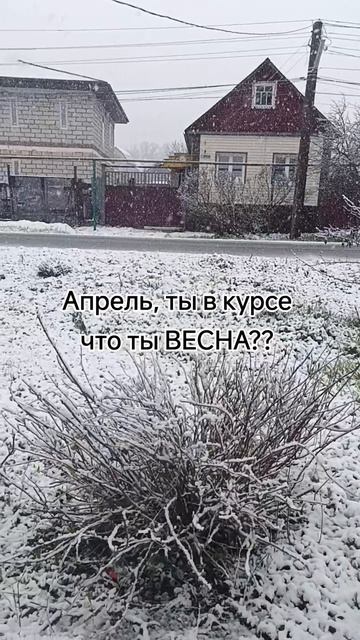 Апрель, ты в курсе, что ты весна? снегопад 24-04-2026