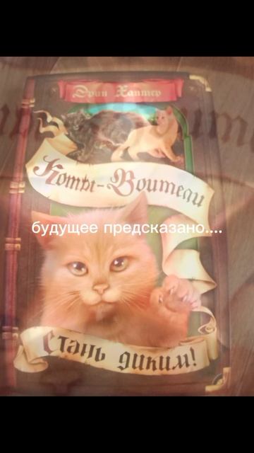 Поймет кто читал