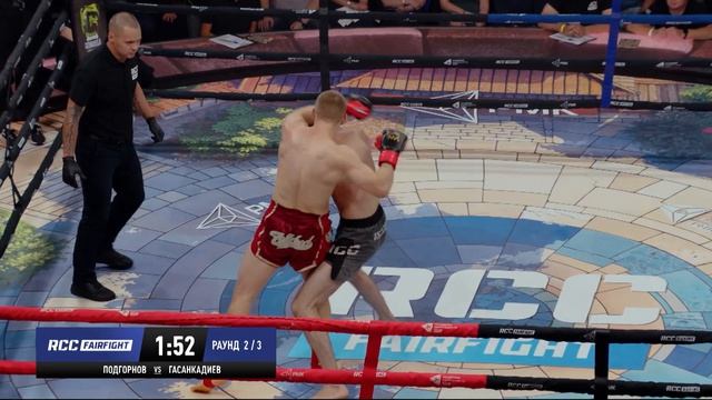 Fair Fight Андрей Подгорнов