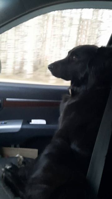 кто куда а я кататься