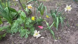 Апрель Спб.