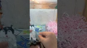 распаковочка!